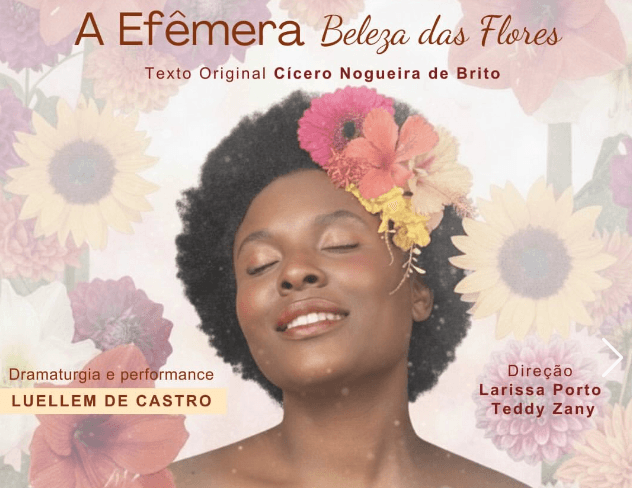 Capa do projeto A Efêmera Beleza das Flores